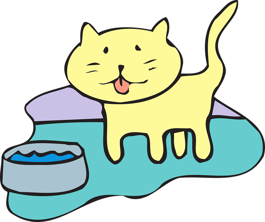 Cat Water Bowl Pet Animal - Cat Water Bowl Clipart (856x720)