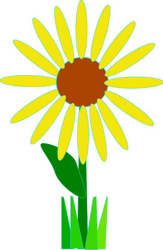 Flower Clipart - Flower Clip Art (523x800)