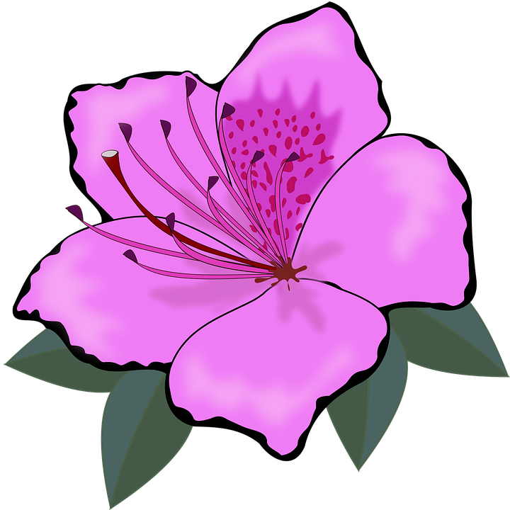 Big Flower Clipart (720x720)