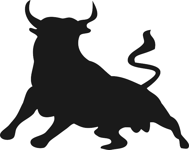 Bullfighting In Spain - Bull Silhouette (640x508)