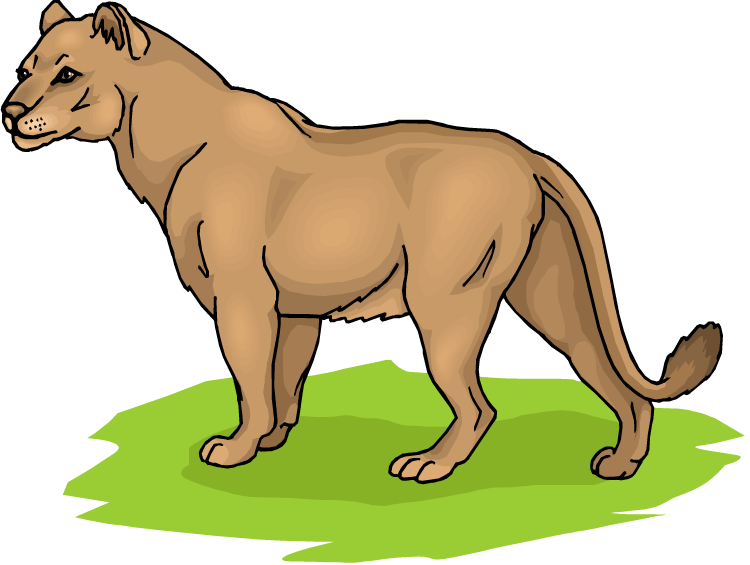 Girl Lion Cliparts - Lioness Clipart (750x565)