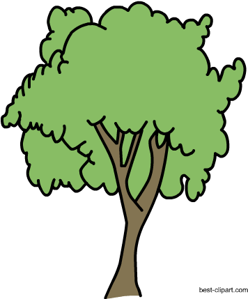 Free Big Tree Png Clipart Image - Portable Network Graphics (450x450)