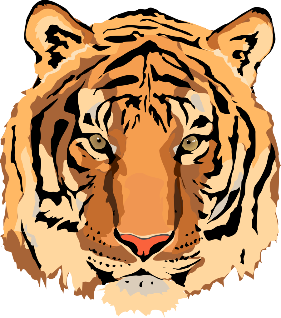 Tiger Vector - Clipart Library - Tiger Face Vector Png (900x1018)