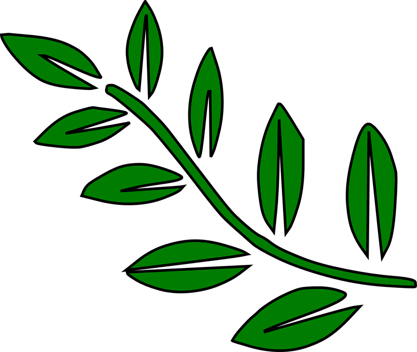 Leaf twig