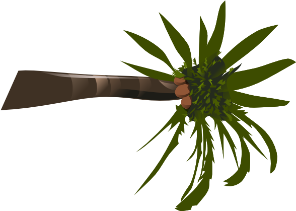 How To Set Use Palm Svg Vector - Palm Tree Clip Art (600x418)