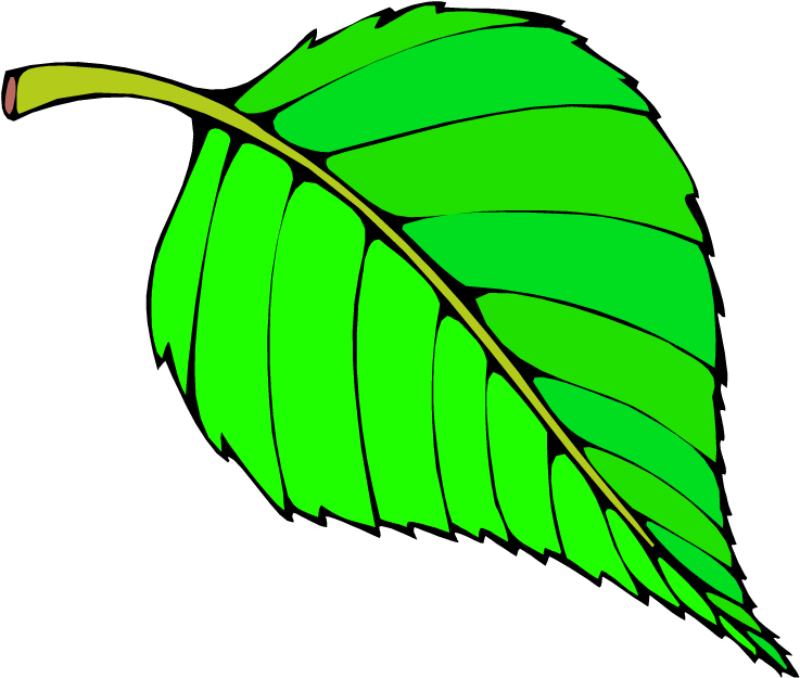 Paper Tree Clipart - Very Hungry Caterpillar Sequencing Cards (750x636)