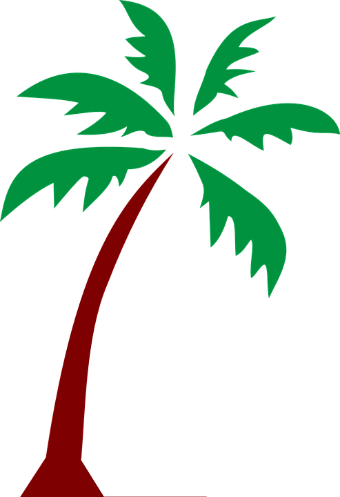 Island Palm Fronds Tree Tropical Nature - Great Beach T-shirt For Manhattan Beach (493x720)