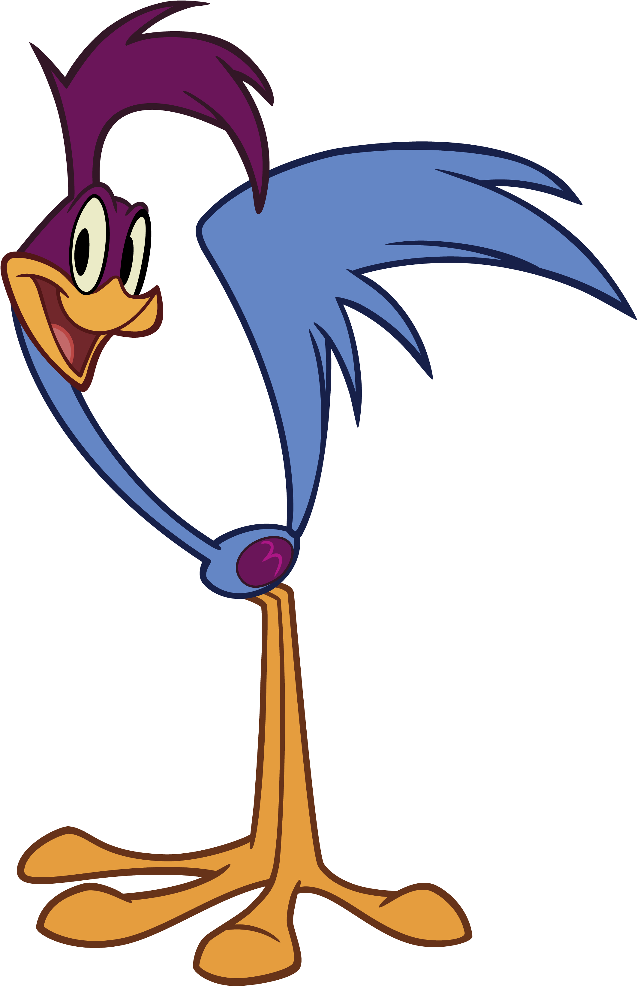 The Road Runner - Looney Tunes Road Runner (2550x4200)