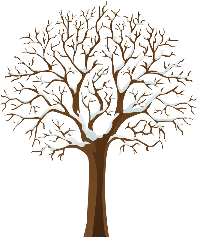 Pin Tree Clipart - Tree With No Leaves (670x800)