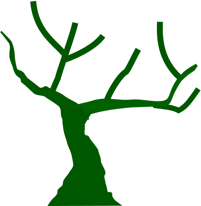 Tree Branches Bare Winter Abstract Green Nature - Tree With Branches Icon (699x720)