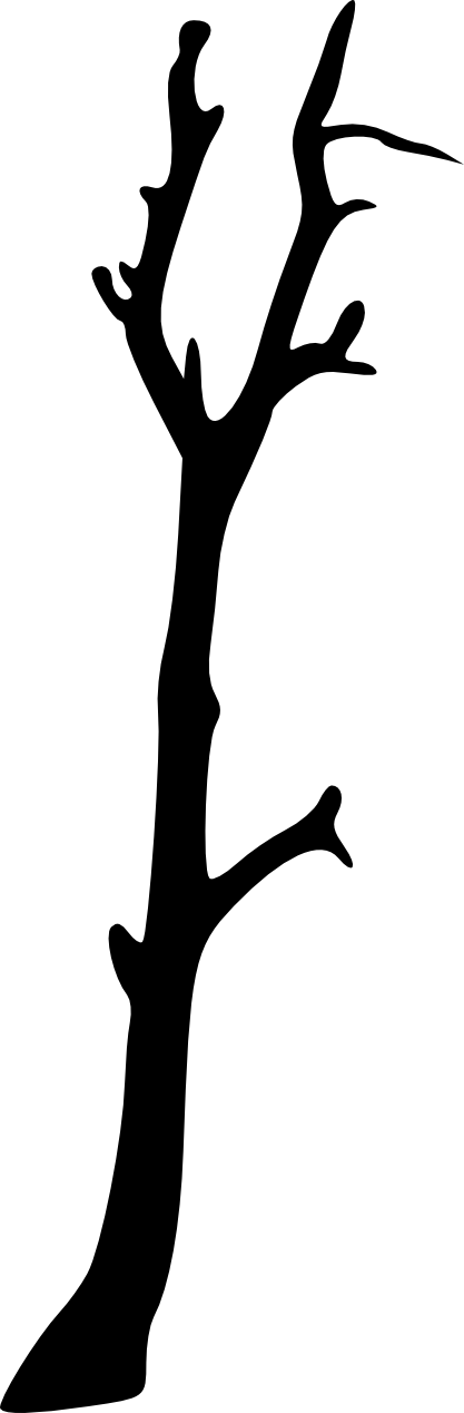 417 × 1269 Px - 417 × 1269 Px (480x1463)