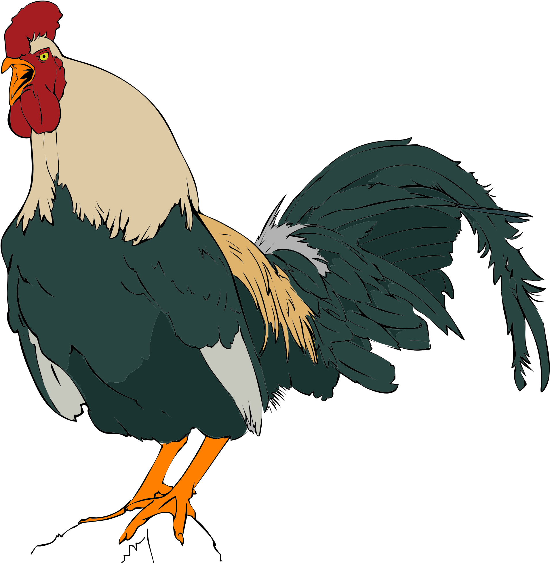 Open - Rooster Clip Art (2000x2075)