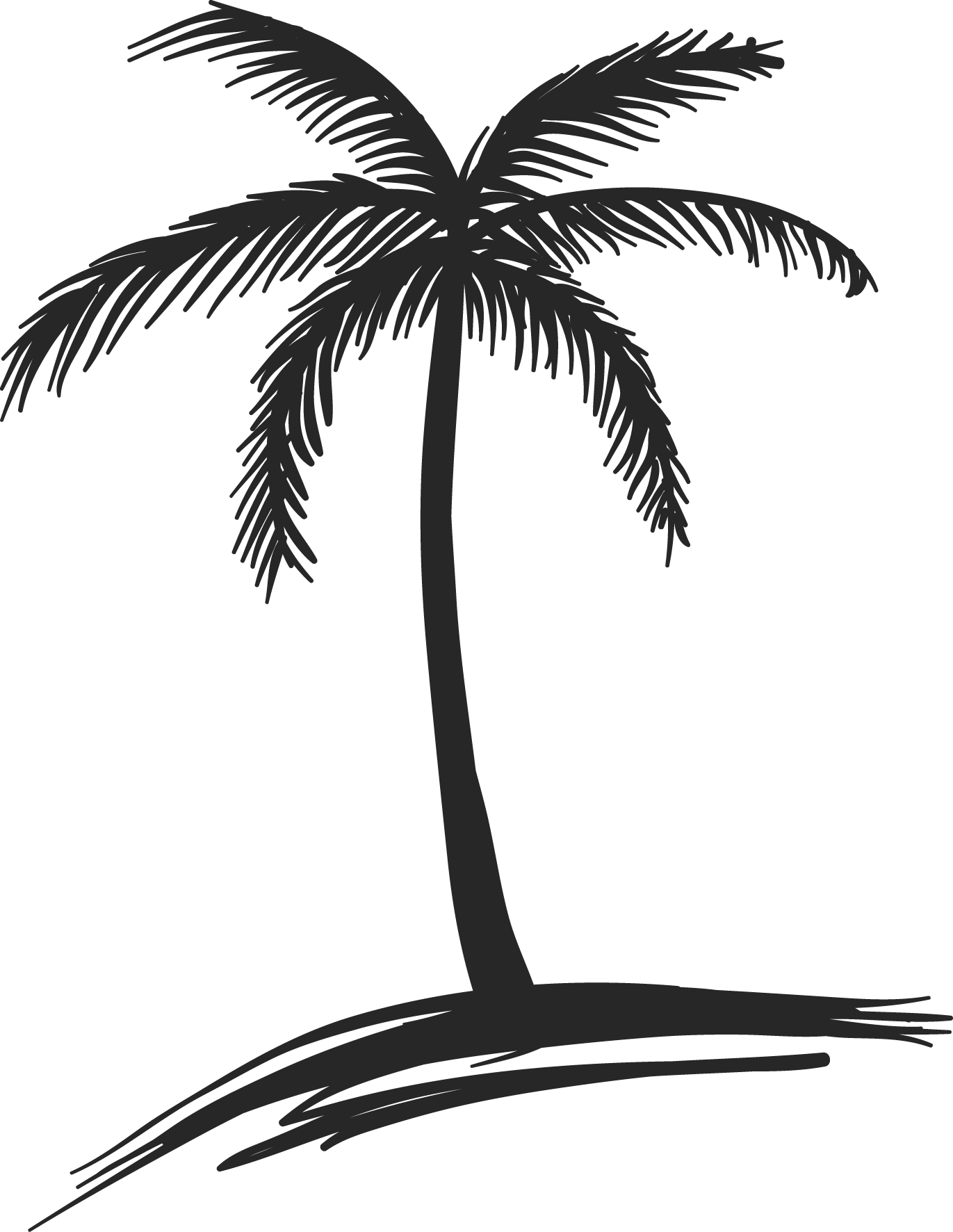 Images For Coconut Palm Tree Drawing - Palm Tree Drawing Png (1371x1772)