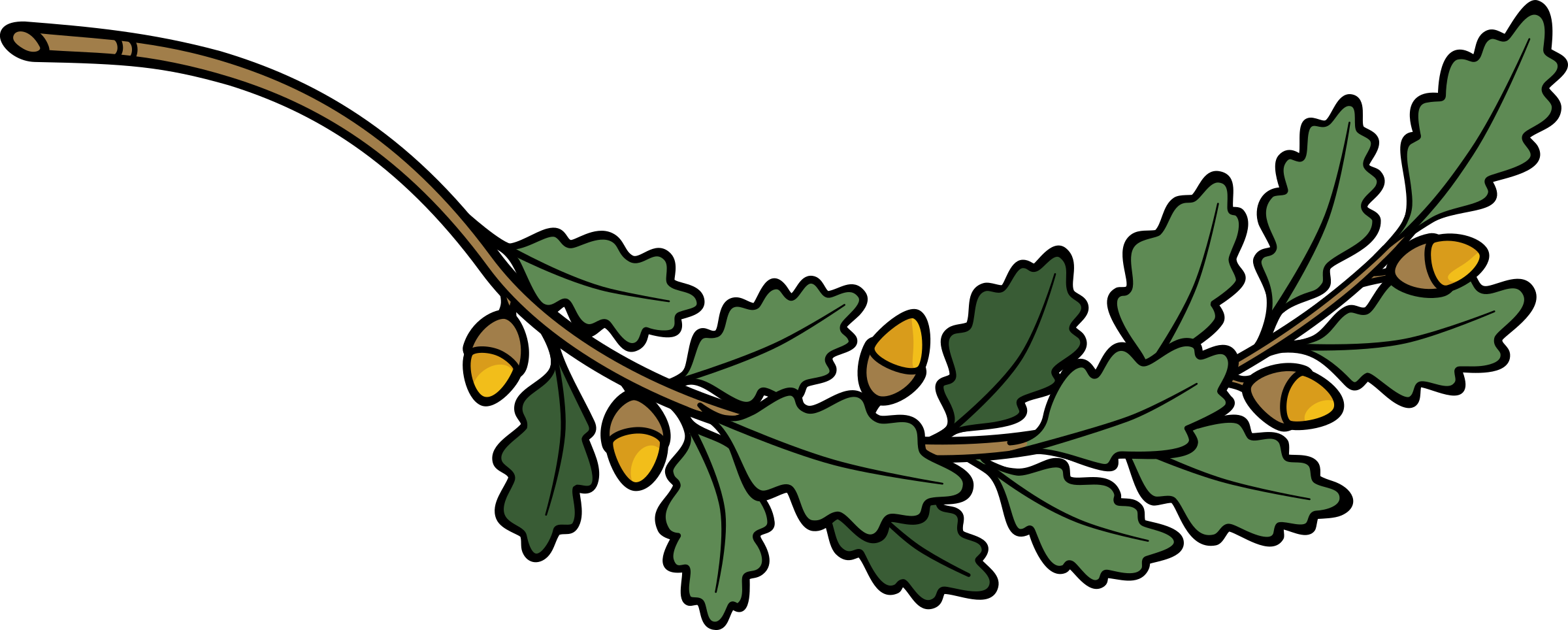 Branch Clipart Oak Branch Pencil And In Color Branch - Oak Branch Free Vector (2400x964)