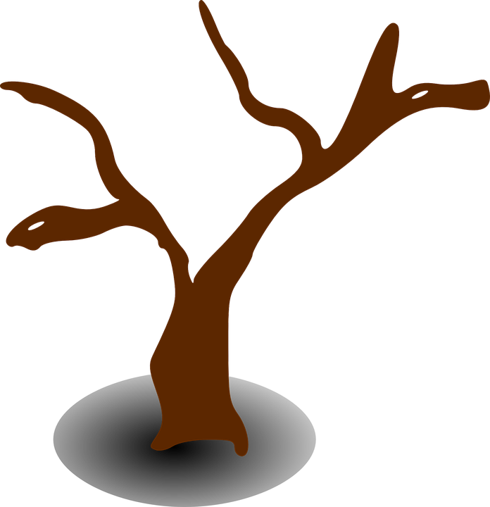 Tree, Dead, Dry, Lifeless, Drought - Tree Clip Art (696x720)