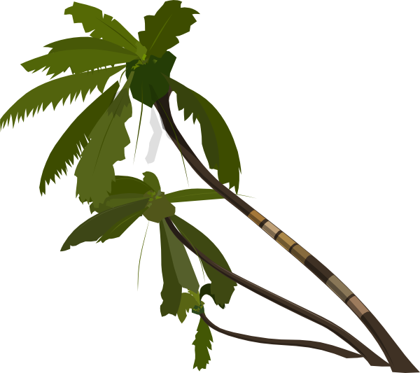 Vector Palm Trees Clip Art - Palm Tree Clip Art (600x533)