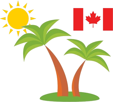 Follow Us - Palm Trees (400x351)