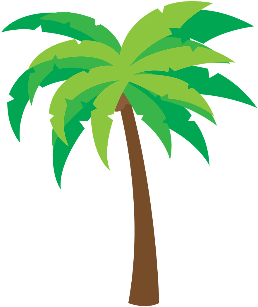 Arecaceae Clip Art - Arecaceae Clip Art (954x1091)