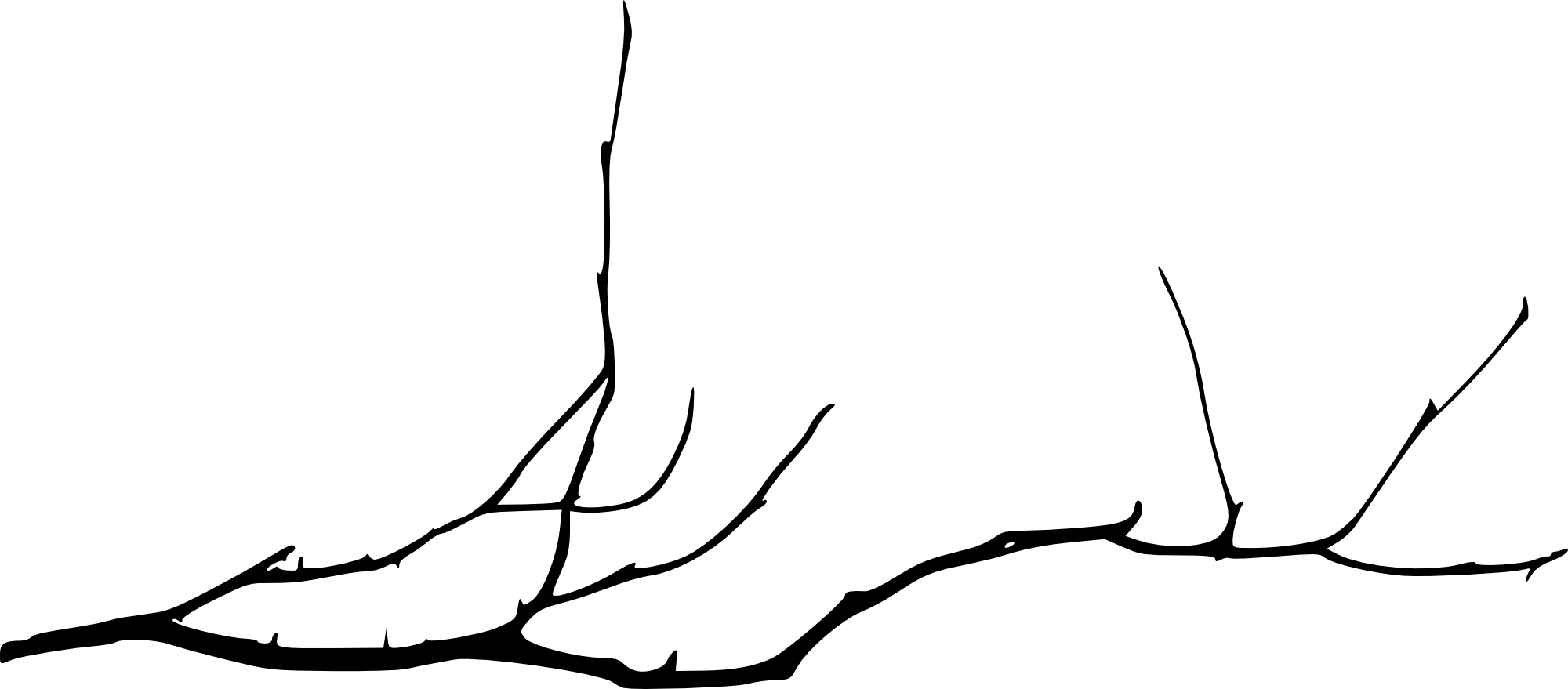 Tree Branch - Tree Branch Drawing Png (2000x879)