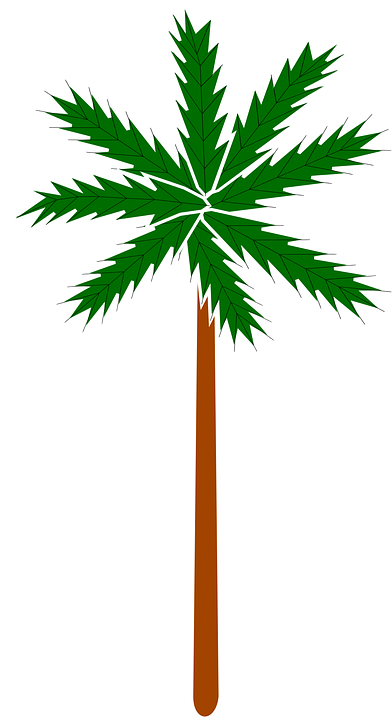 Palm Plant Stylised Tree - Clip Art (392x720)