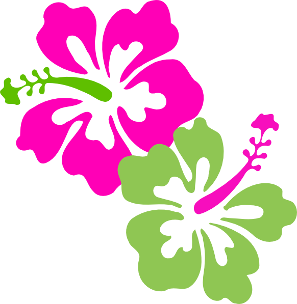 Hibiscus Clipart Wallpaper - Hibiscus Clip Art (582x597)