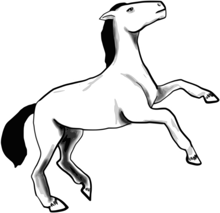 Free Horse - Horse Sketch Shower Curtain (800x800)