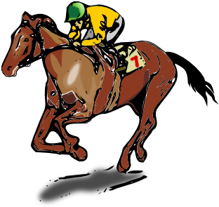 Horse Jockey Clip Art - Race Horse Shower Curtain (600x592)