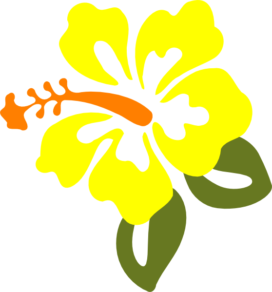 Yellow Hibiscus Clip Art At Vector Clip Art - Yellow Hibiscus Flower Clipart (558x599)