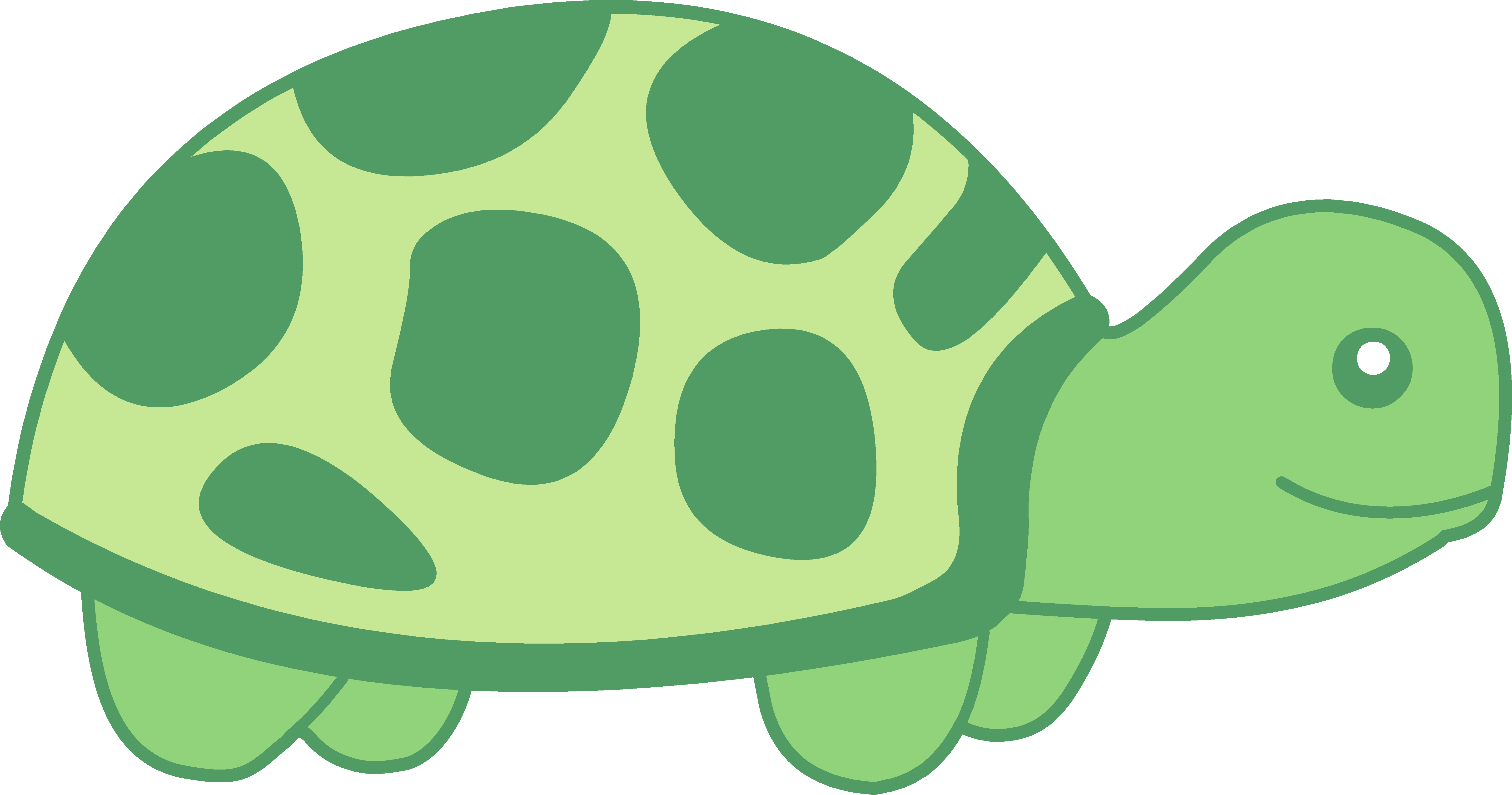 Turtle Clip Art Free - Turtle Clipart Png (6352x3339)
