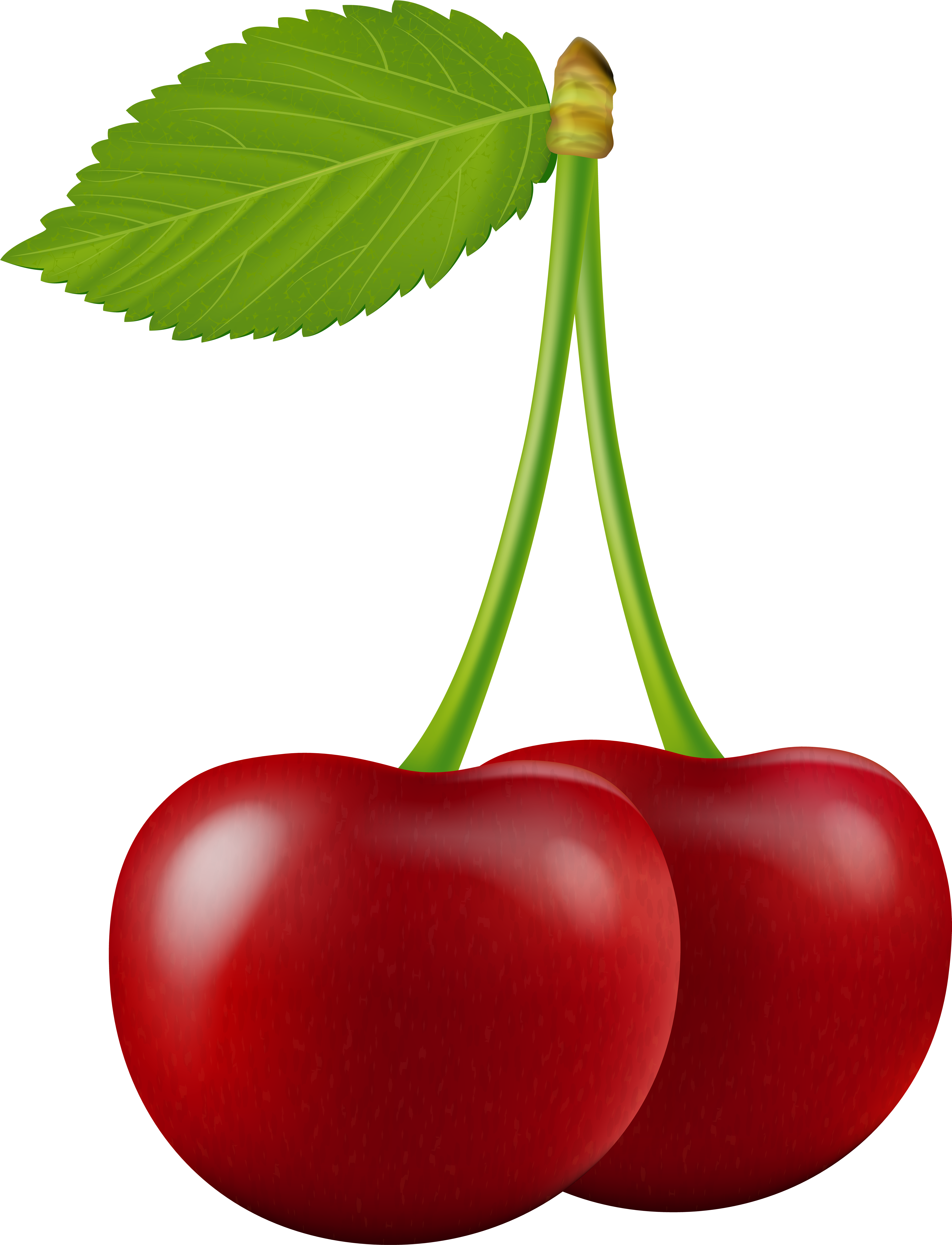 Cherry Transparent Png Clip Art - Cherry Transparent Png Clip Art (6092x8000)