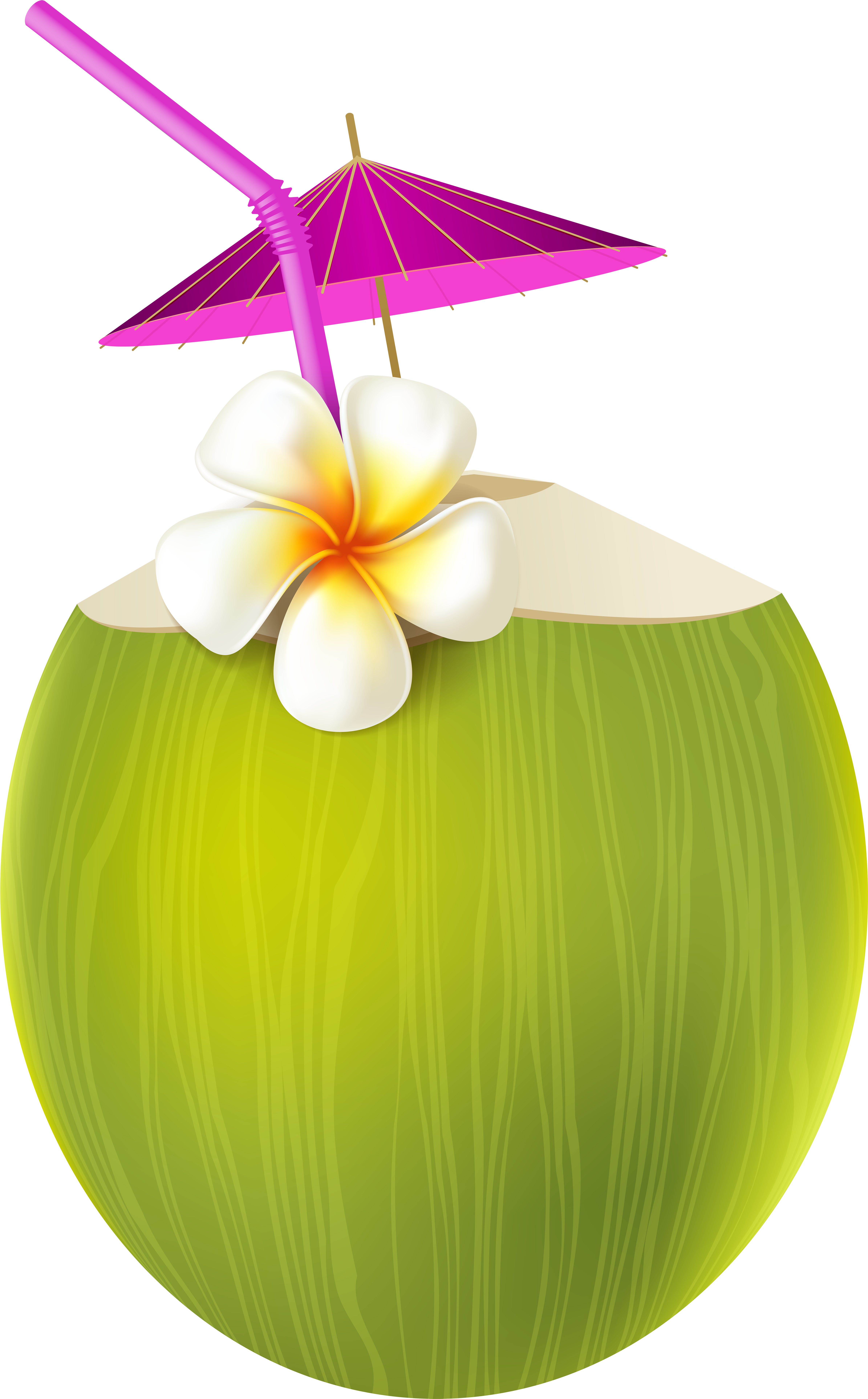 Aloha Party, Luau Party, Summer Parties, Pool Parties, - Summer Drinks Clipart Png (4965x8000)