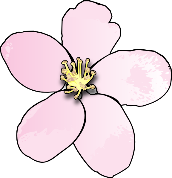 State Flower For Michigan (576x595)