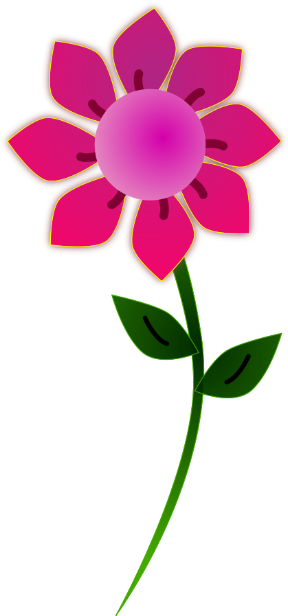 Pink Sun Flower Png Image - Clip Art Flower Png (428x900)
