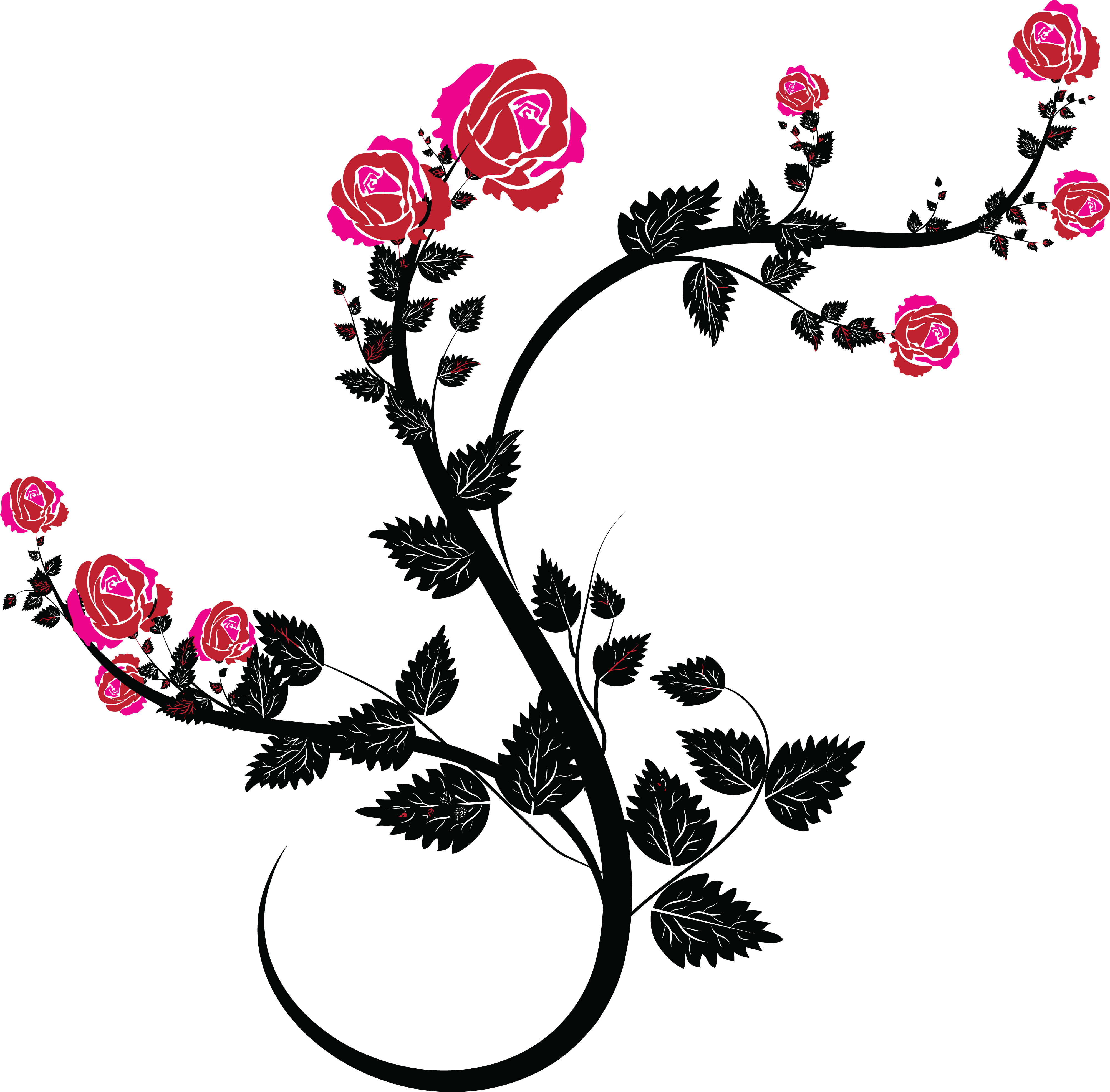 Free Clipart Of A Black And Pink Rose Design - Rose Flourish (4000x3937)