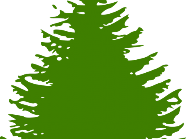 Pine Tree Graphic - Pine Tree Silhouette (640x480)