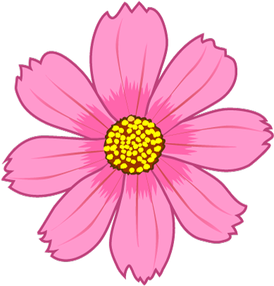 Cosmos Flower - Cosmos Flower Clipart (480x480)