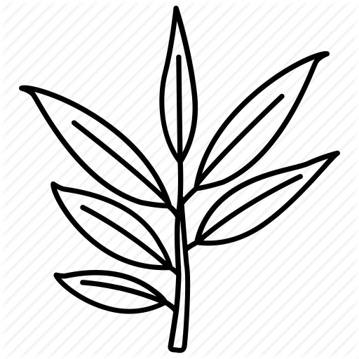 Bush, Eucalyptus, Gum, Leaf, Tree, Willow Icon Icon - Imagenes De Eucalipto Para Dibujar (512x512)