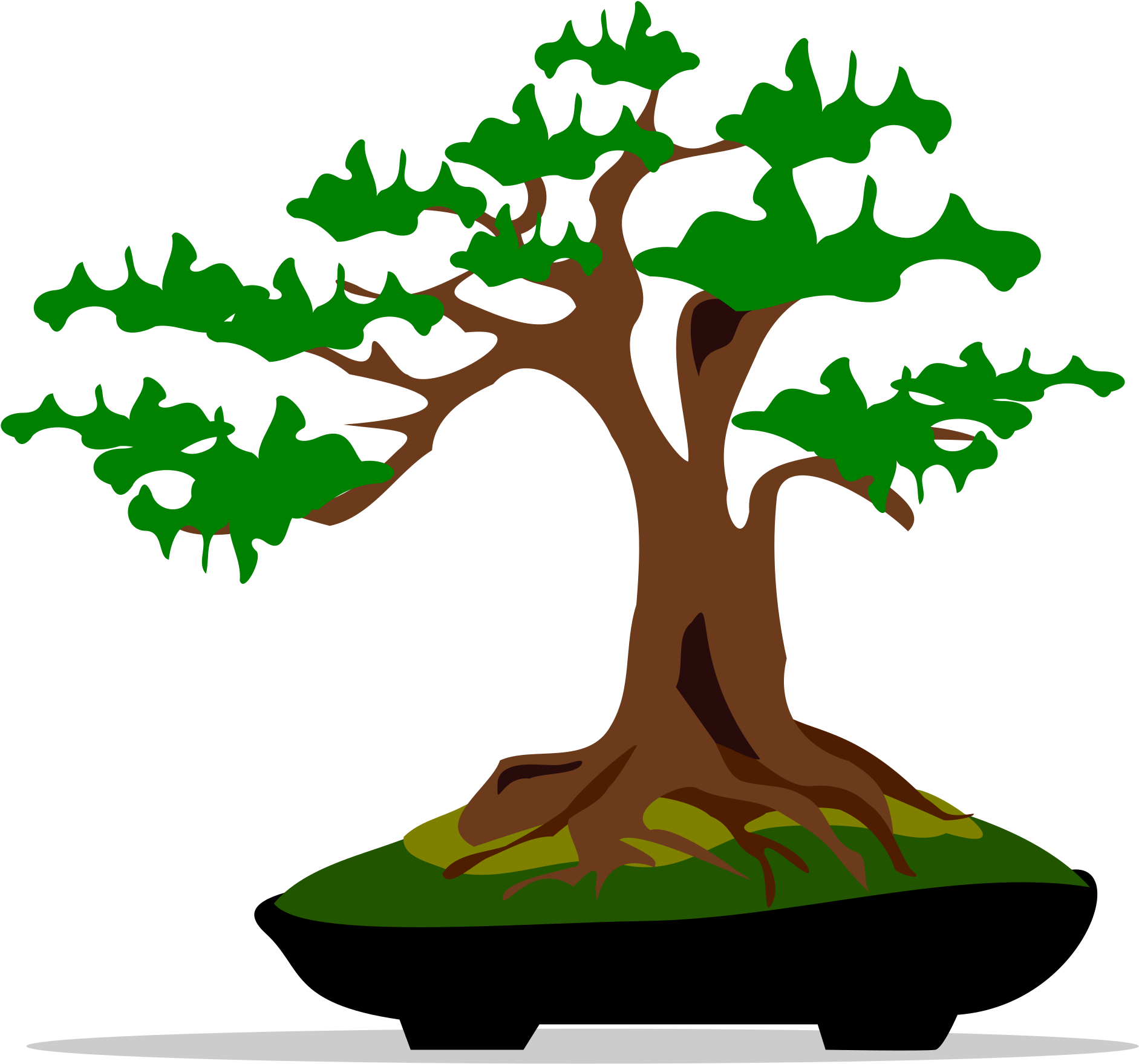 Bonsai Tree Clipart - Bonsai Tree Clip Art (2400x2400)