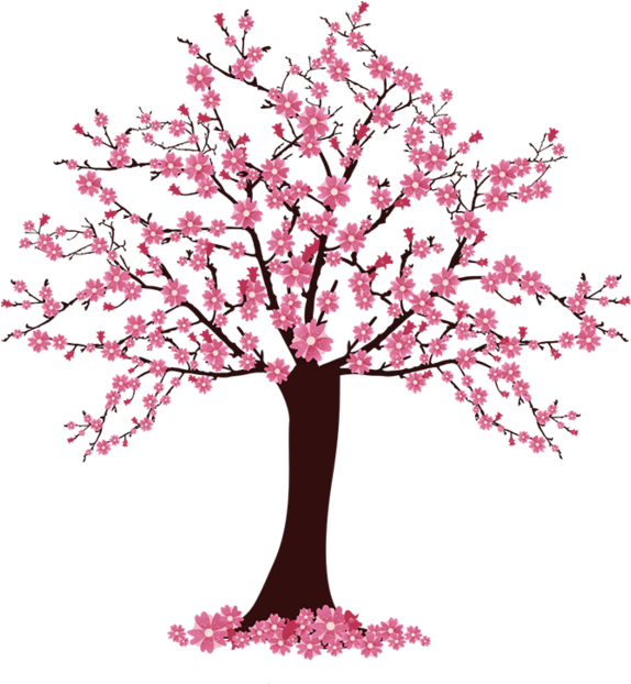 Arbre,png - Cherry Blossom Tree Clip Art (600x621)