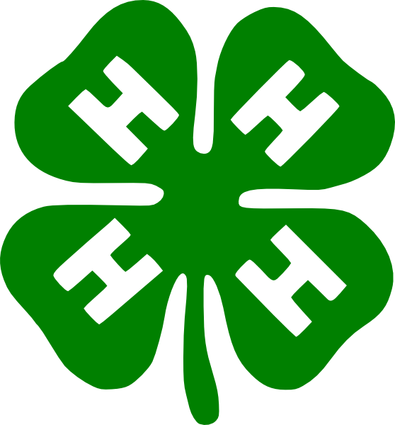 Free Vector Shamrock Clip Art - 4 H Logo Png (558x600)