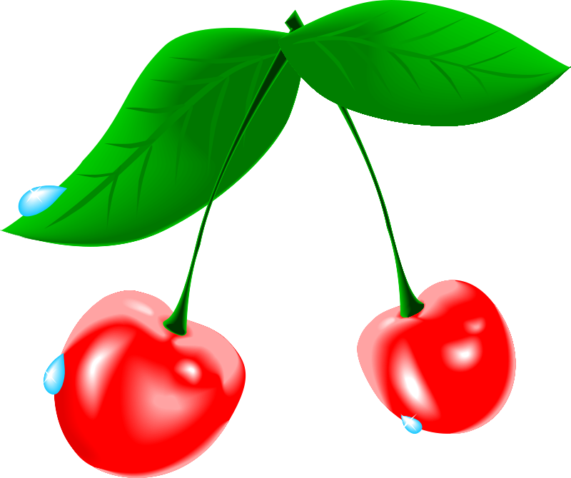 Free Cherry - Cherry Cliparts (894x750)