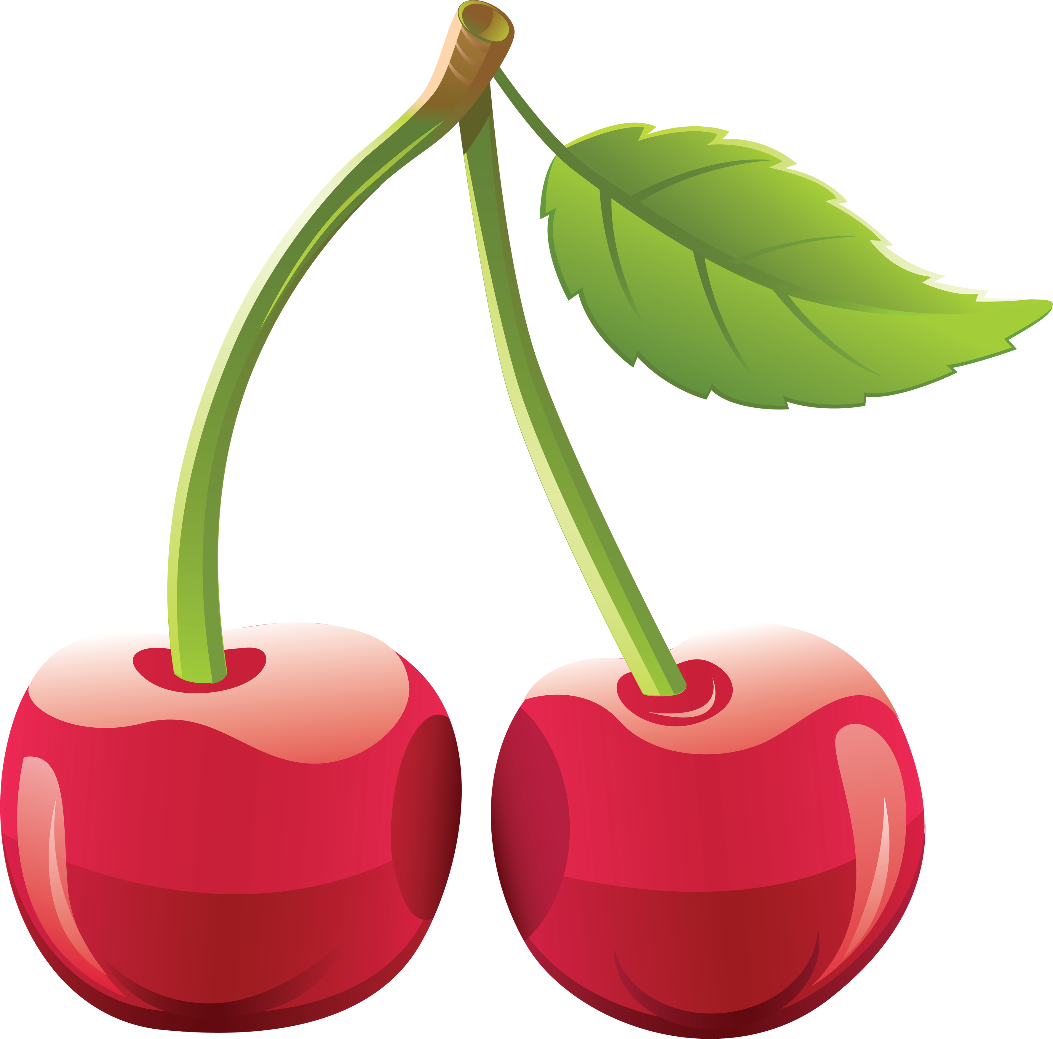Cherries - Fruit Vector (3553x3504)