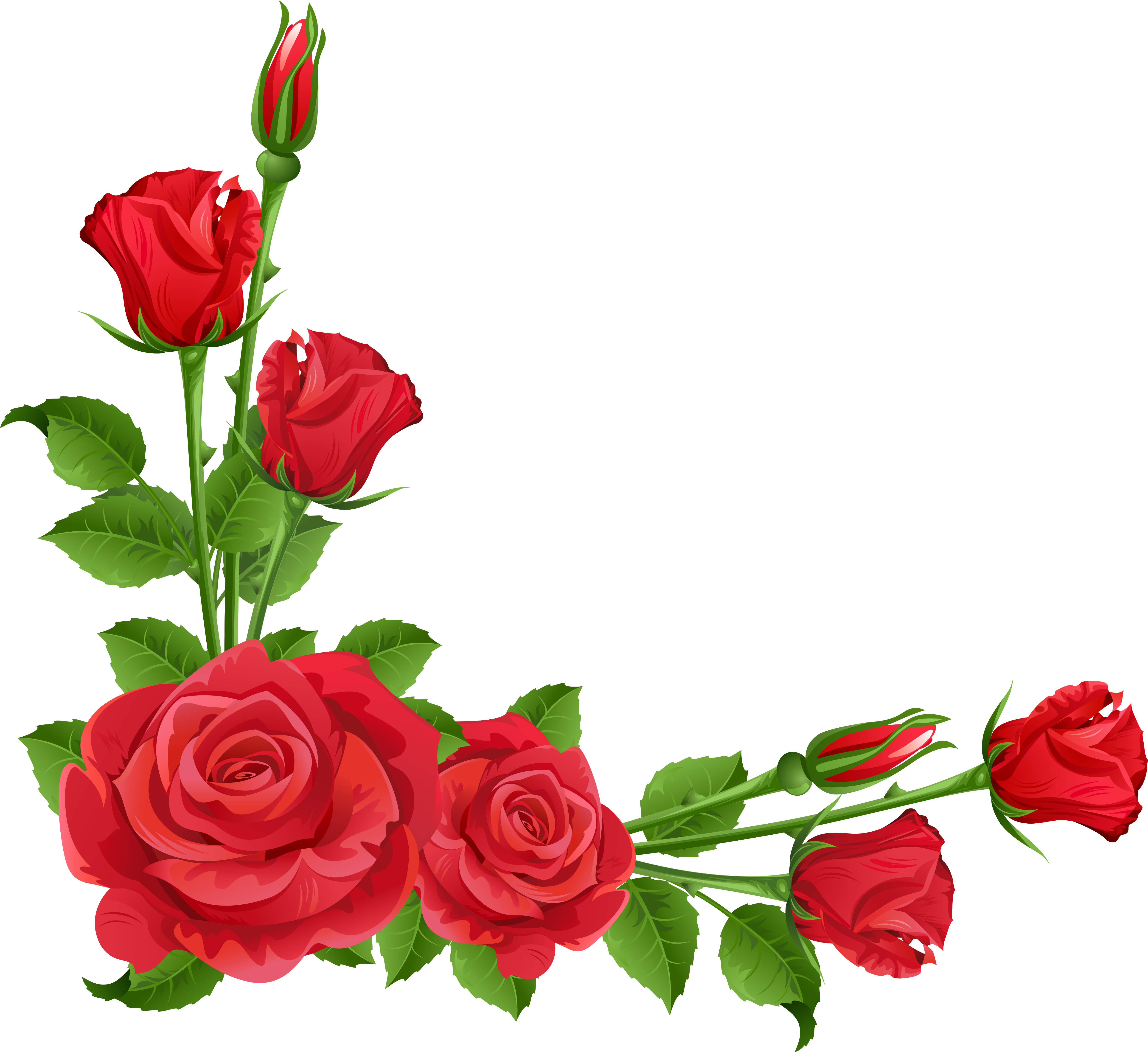 Roses Rose Clip Art Free Clipart Images 2 Clipartcow - Flower Frame Png (5187x4954)