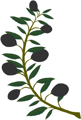Free Olive Branch Black Olive - Olive Tree Branch Clipart (566x800)