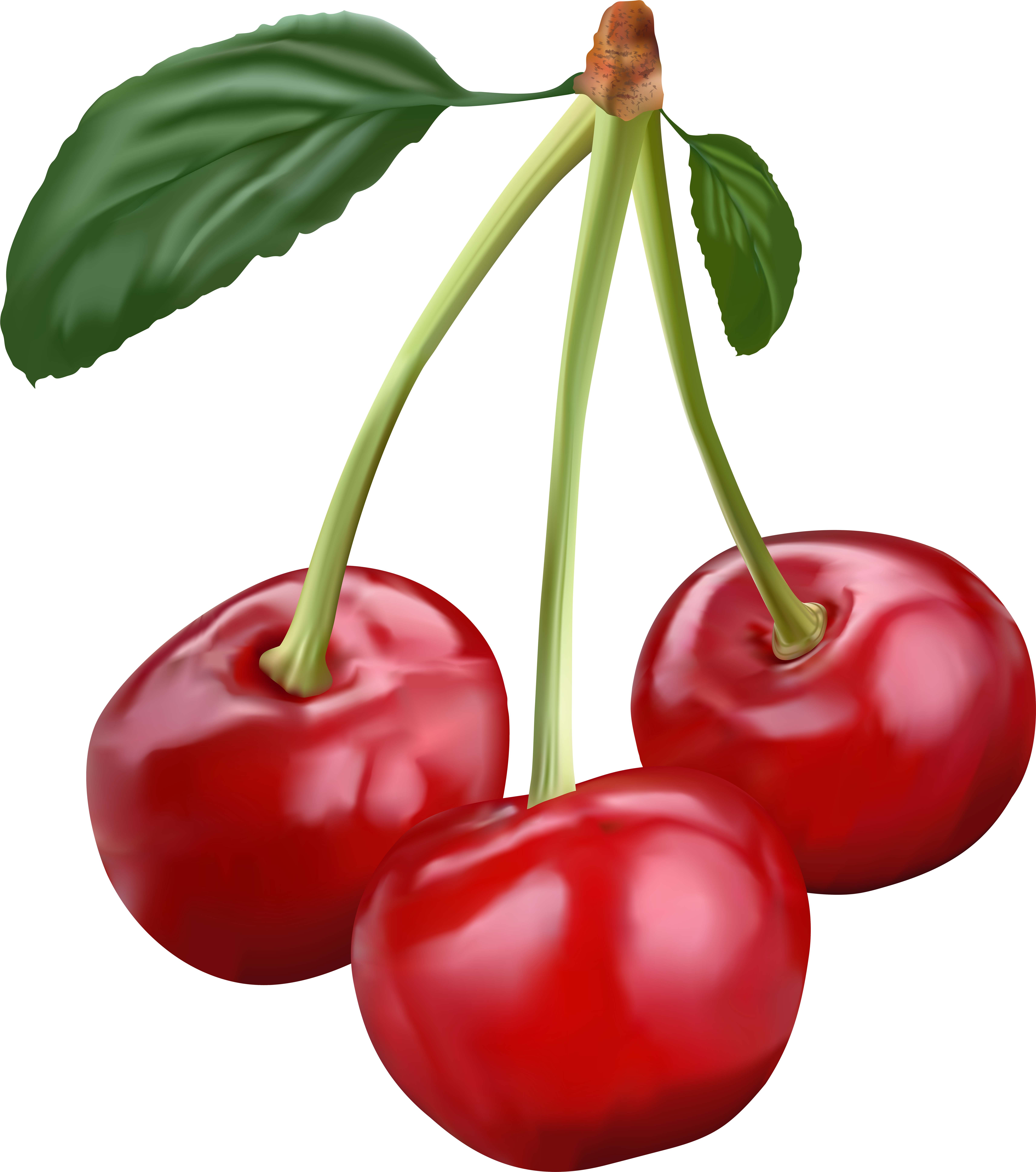 Cherry Png Transparent Clip Art Image - Cherry Png Transparent Clip Art Image (7073x8000)