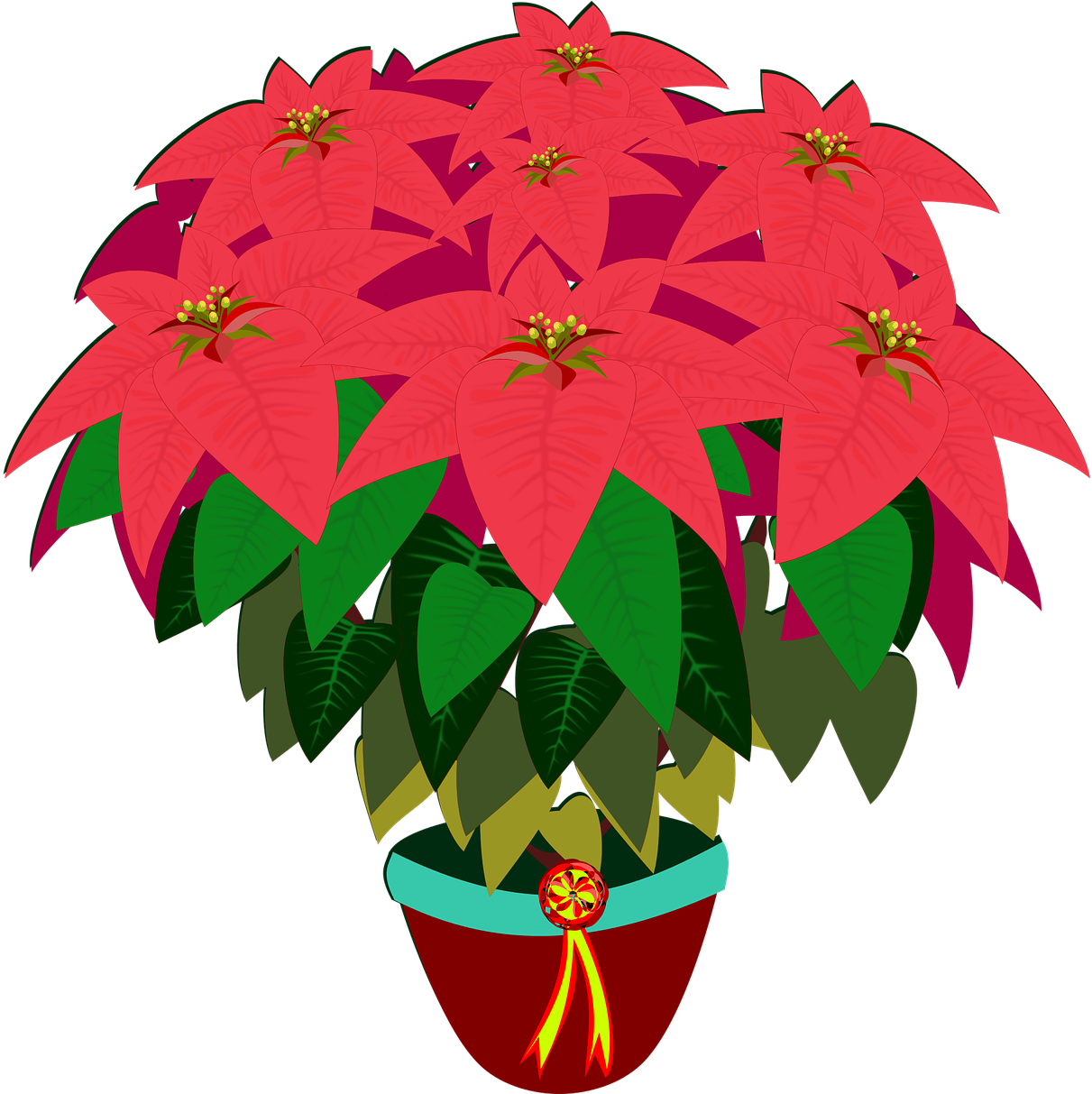 Bico De Papagaio, Clip Art, Flor, Flora - Poinsettia (1280x1212)