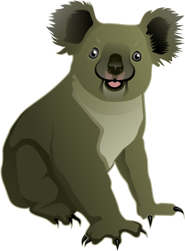 Com Koala Png Koala Clipart - Koala Clipart (778x939)