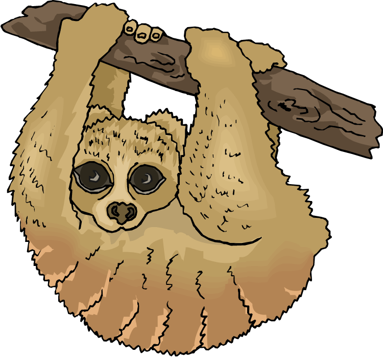 Free Sloth Clipart The Cliparts - Three Toed Sloth Clipart (750x698)