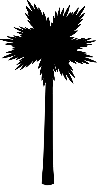 Palm Tree Clip Art (334x640)