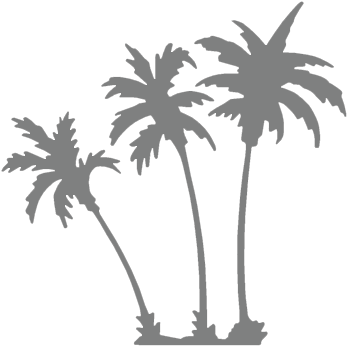 Palm Trees Background Overlay (356x368)